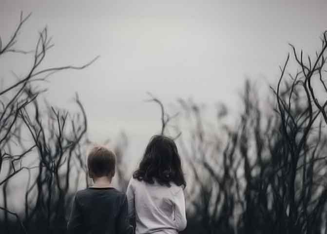 官方正版授权的器测压文章